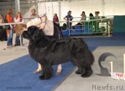 Превью фото № 154483