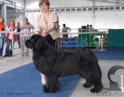 Превью фото № 154488