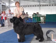 Превью фото № 154489