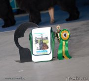 Превью фото № 154491