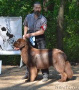 Превью фото № 154556