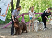 Превью фото № 154557