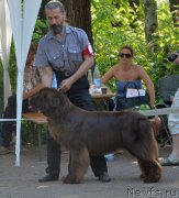 Превью фото № 154560