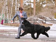 Превью фото № 154575