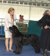 Превью фото № 154607