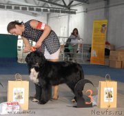 Превью фото № 154611