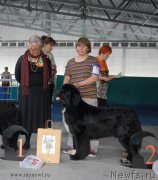 Превью фото № 154614