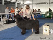 Превью фото № 154619