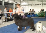 Превью фото № 154621