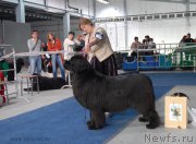 Превью фото № 154622