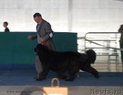 Превью фото № 154625