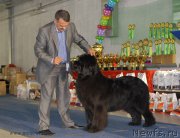 Превью фото № 154629