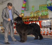 Превью фото № 154630