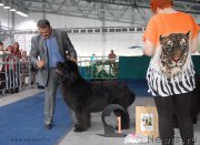 Превью фото № 154635