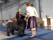 Превью фото № 154638