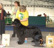 Превью фото № 154642