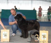 Превью фото № 154643