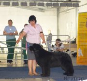 Превью фото № 154661