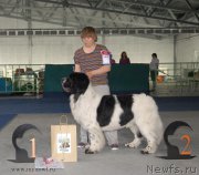 Превью фото № 154684