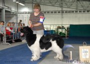 Превью фото № 154717