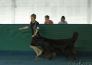 Превью фото № 154726