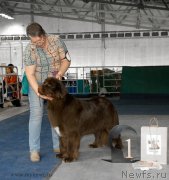 Превью фото № 154760