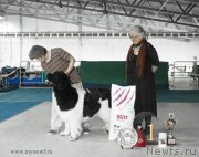 Превью фото № 154823