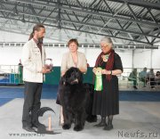 Превью фото № 154849