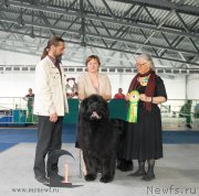 Превью фото № 154850