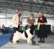 Превью фото № 154857