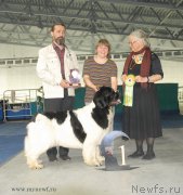 Превью фото № 154859