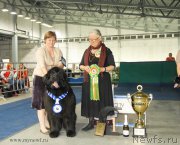 Превью фото № 154867