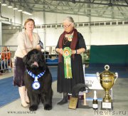 Превью фото № 154868