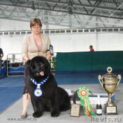 Превью фото № 154876