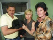 Превью фото № 154917