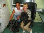 Превью фото № 154921