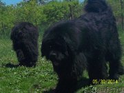 Превью фото № 154923