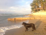 Превью фото № 154962