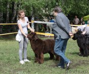 Превью фото № 155019