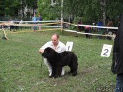 Превью фото № 155050