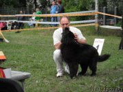 Превью фото № 155051