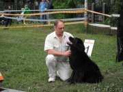 Превью фото № 155053