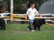 Превью фото № 155056