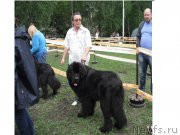 Превью фото № 155058