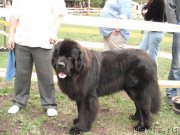 Превью фото № 155059