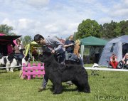 Превью фото № 155098