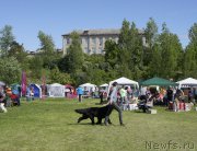 Превью фото № 155100