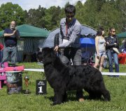 Превью фото № 155105