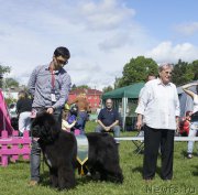 Превью фото № 155107