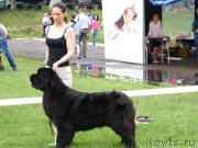 Превью фото № 155130